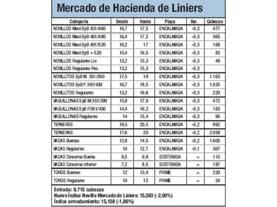 Mercado de Liniers: Novillo cayó un 2%