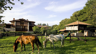 Escapadas: 6 lugares ideales para el turismo rural en Buenos Aires