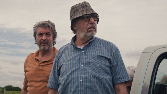You can’t miss it! One of the most beloved Argentine films is already a furor in Netflix