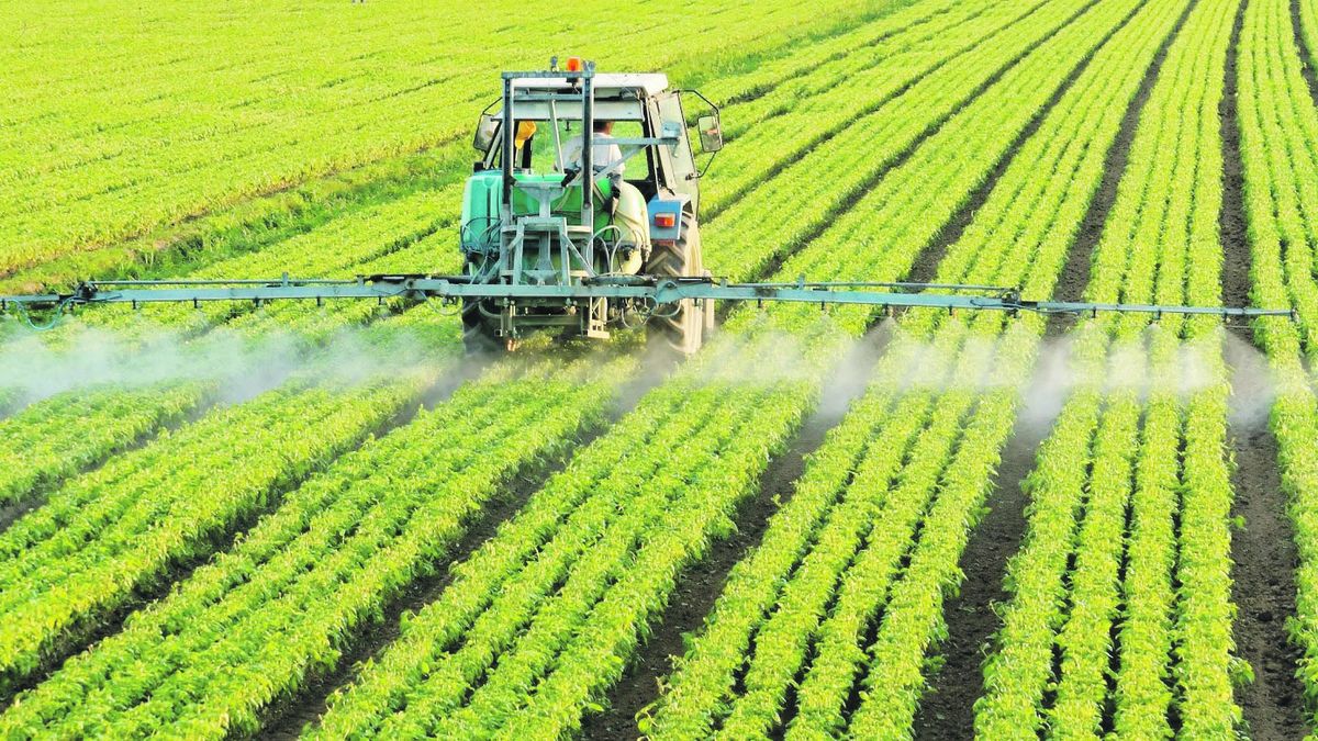 The multinational Nutrien leaves its businesses in Uruguay