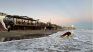 The Muert cow surprised tourists who were on the beach The Muert cow surprised tourists who were on the beach