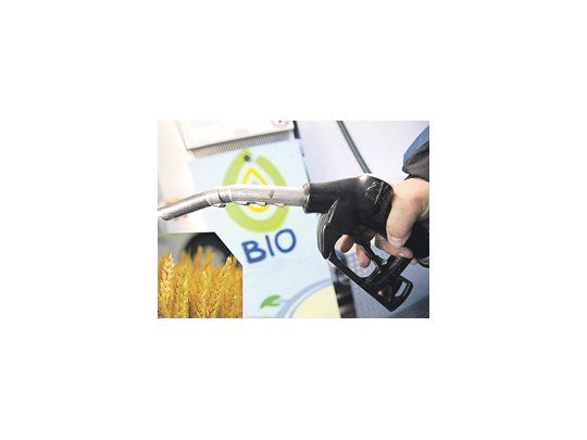 La Comisión Europea quiere limitar el alto impacto de la producción de biocombustibles en el medio ambiente y en el precio de los alimentos.