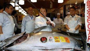 Subasta de Año Nuevo en Japón: atún por u$s145.000