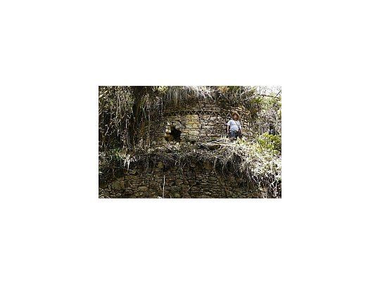 El hallazgo lo realizó un grupo de investigadores en el amazonas peruano
