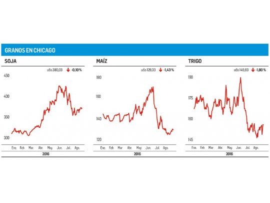 Mermas para soja, maíz y trigo en Chicago