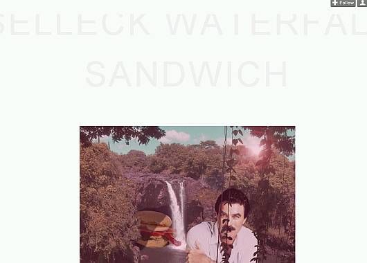 La caprichosa Selleck Waterfall Sandwich.