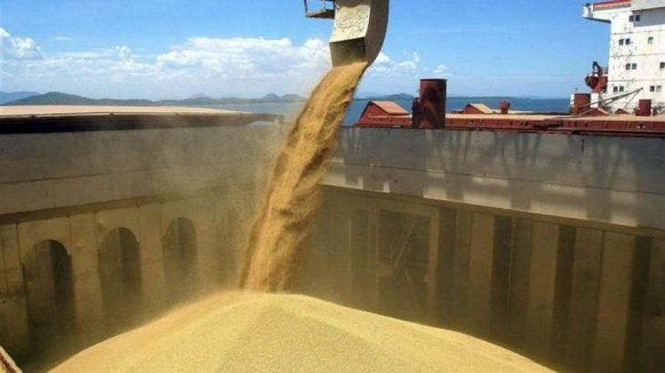 La Unión Europea podría levantar temporalmente el veto a las importaciones de cereales modificados genéticamente.