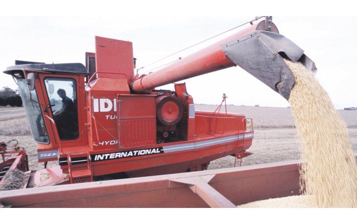 ámbito.com | Poroto de soja. El valor de la oleaginosa se mantenía por la fuerte demanda del producto norteamericano, pero la tendencia cambió.