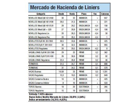 Mercado de Liniers: Novillo cayó 4,8%