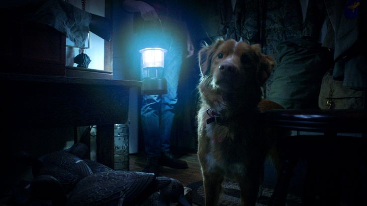 The film presents a different approach within the genre. The film presents a different approach within the genre.