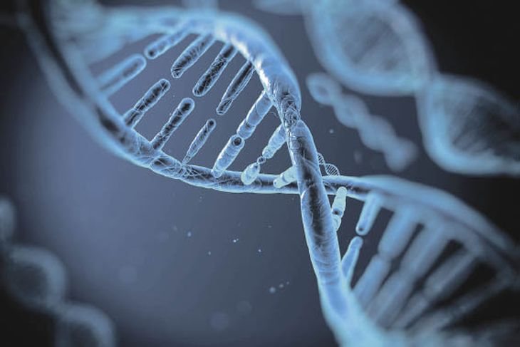 El modelo de aprendizaje profundo fue entrenado con datos procedentes de cientos de tipos de células y tejidos en humanos y ratones. El modelo de aprendizaje profundo fue entrenado con datos procedentes de cientos de tipos de células y tejidos en humanos y ratones.