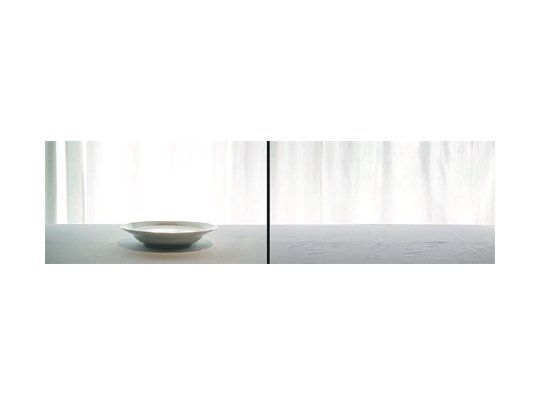 Las videoinstalaciones que Silvia Rivas exhibe en el Museo Castagnino de Rosario parten del vuelo de una a o varias moscas y terminan en un feroz enjambre que recuerda el cine de Alfred Hitchcock.