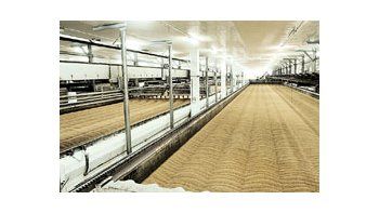 ámbito.com | A partir del viernes comienzan a funcionar nuevas cajas de germinación de 300 toneladas cada una.