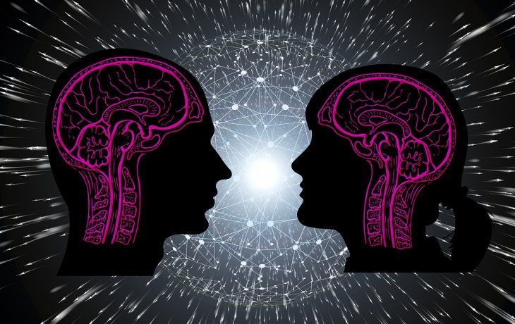 Los investigadores exploraron cómo las características únicas del mundo online pueden influir en la atención, los procesos de memoria y la cognición social.
