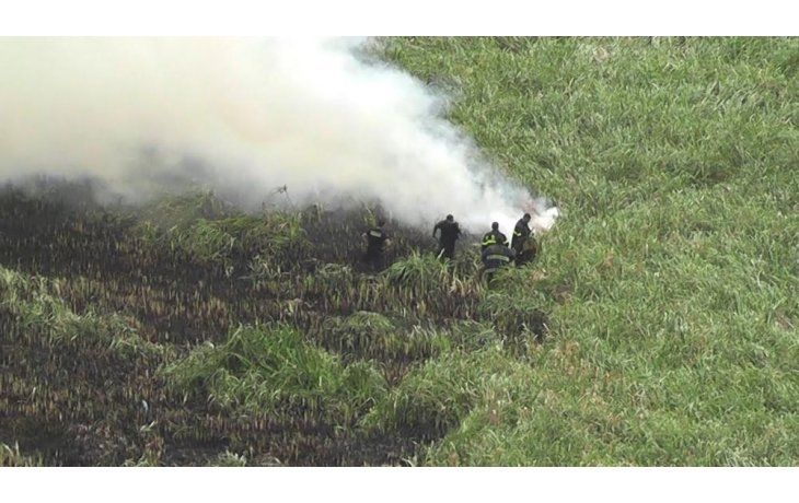 Los bomberos voluntarios de Ensenada participaron del operativo.