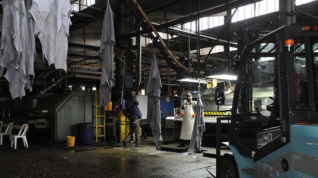 El conflicto en la curtiembre de Paysandú abrió un cruce político entre la CSI y el MTSS por la responsabilidad en el cierre del seguro de paro.