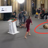 El momento de la caída de la periodista en la Mañanera. El momento de la caída de la periodista en la Mañanera.