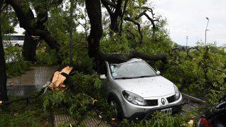 Varias zonas de CABA permanecen afectadas por el fuerte temporal