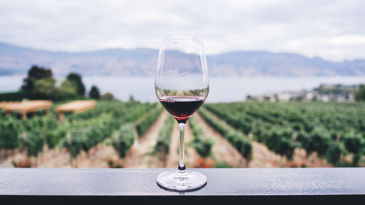 November 24: why it is Argentine Wine Day