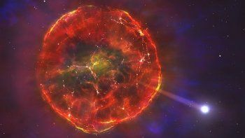 Una situación inédita en Japón. Y un descubrimiento que dará que hablar en la NASA.