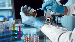El segmento de biotecnología fue el que más inversiones del capital de riesgo atrajo el año pasado. El segmento de biotecnología fue el que más inversiones del capital de riesgo atrajo el año pasado.