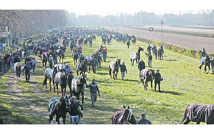 Reacción. Días atrás, la industria del turf mostró su rechazo a la iniciativa del oficialismo con una protesta en el Hipódromo de San Isidro.