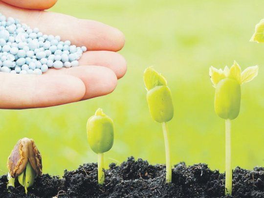 Paulatina recuperación del uso de fertilizantes