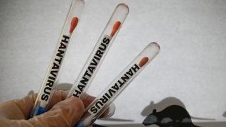 Preocupa la escala de casos de hantavirus. Preocupa la escala de casos de hantavirus.