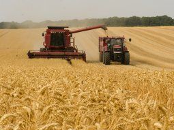 sequia: brasil le comprara trigo a eeuu, canada y rusia ante menor oferta de la argentina
