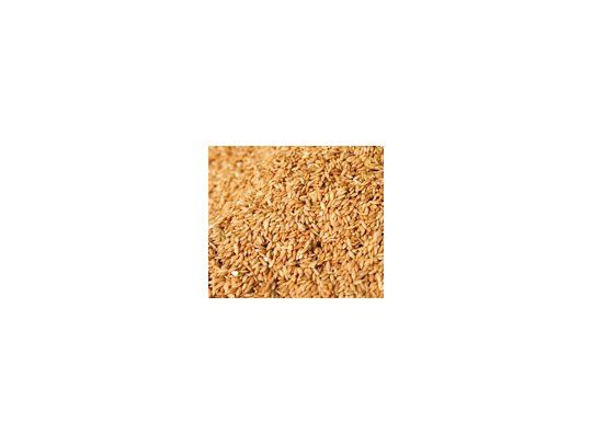 La producción mundial de arroz sumaría 683,2 millones de toneladas en el último año, es decir, 18 millones de toneladas más que lo estimado en julio. De todos modos, el consumo crecería a mayor nivel.