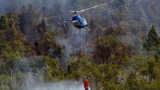 Neuquén reporta diversos incendios forestales activos. Neuquén reporta diversos incendios forestales activos.