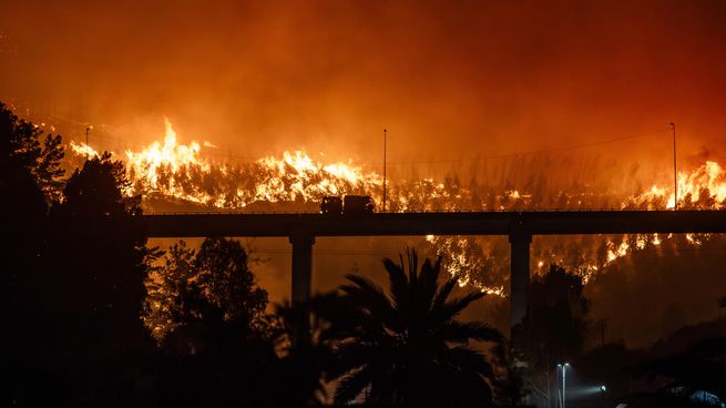 Uruguay brindará apoyo a Chile tras los incendios forestales que se cobraron 20 víctimas