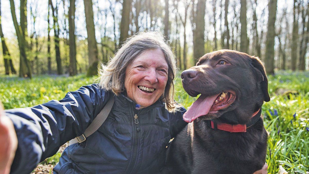 What it means to upload many photos of your pet to social networks, according to psychology