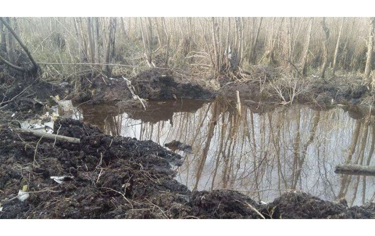 El lugar. Los restos de la avioneta fueron hallados en la zona del Delta del Paraná, una zona “dificultosa” para la búsqueda por su vegetación.