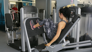 Gimnasios. Gimnasios.