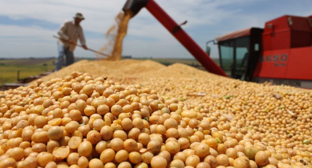 La compa&ntilde;&iacute;a presidida busca generar un volumen de negocios de entre u$s120 y u$s150 millones.