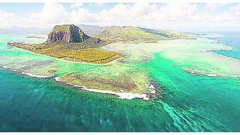 DESCUBRIMIENTO. Analizando los minerales expulsados por los volcanes, se encontraron los restos de Mauritia.