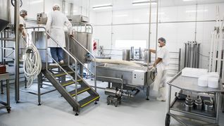 ámbito.com | La delfina-leche de bufala.jpg