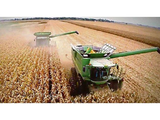 Advierten que cosecha de trigo apuntala sector agrícola, pero crecen actividades en crisis