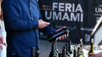 la industria vitivinicola crece en propuestas de alta gama