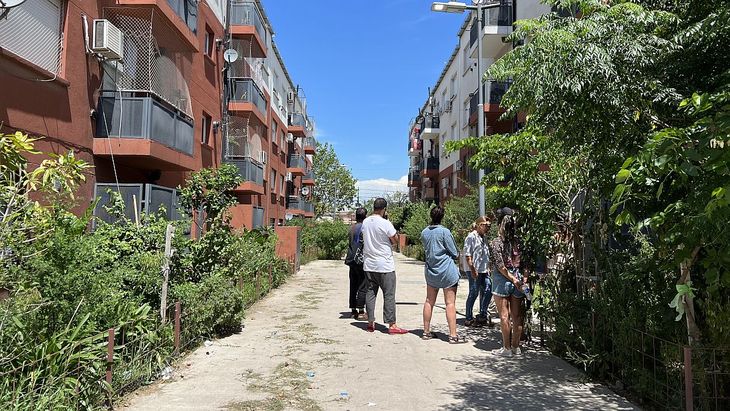 En los pasillos de los edificios también se plantaron nuevas especies para frenar el calentamiento. 