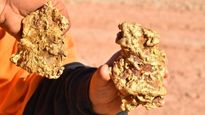 El precio récord del oro impulsó una nueva ola de búsqueda de pepitas en el estado australiano de Victoria.