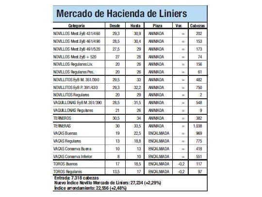 Alza del 2,3% para el Índice Novillo