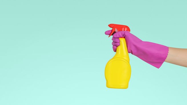 Asegurate de un hogar limpio con estos productos caseros. 