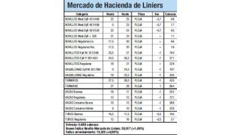 El Índice Novillo subió un 1,5%