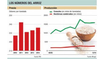 El arroz aún es puro potencial