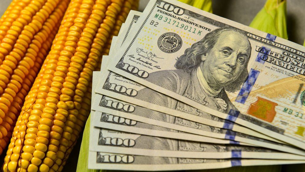 Exportaciones de alimentos y energía hacen la diferencia este año mientras se desploman las importaciones.