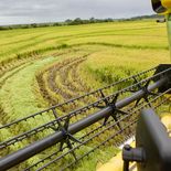 Se realizó el 97% del total de la zafra a nivel nacional. Se realizó el 97% del total de la zafra a nivel nacional.