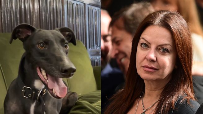 El perro fue nombrado así en honor a Gary Becker, economista estadounidense que desarrolló la teoría del capital humano.