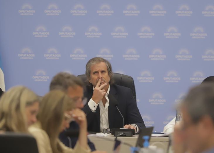 "Bertie" Benegas Lynch se encargó de la presidencia de la Comisión de Presupuesto y Hacienda. "Bertie" Benegas Lynch se encargó de la presidencia de la Comisión de Presupuesto y Hacienda.